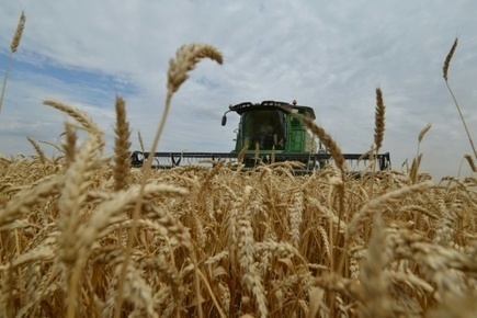 Russie: exportations record de céréales malgré une récolte en baisse | CONFLIT RUSSO-UKRAINIEN | Scoop.it