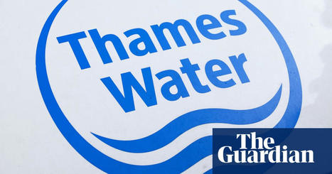 Thames Water fined £2.3m for raw sewage pollution incident | Environment | The Guardian | Microeconomics: IB Economics | Scoop.it