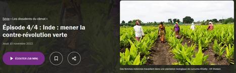Les initiatives agro-écologiques en Inde | TRANSITION AGROECOLOGIQUE : PRATIQUES ET POLITIQUES AGRICOLES | Scoop.it
