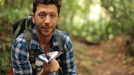 Communicating Entomology Through Video: Q&A With Aaron Pomerantz | Rainforest CLASSROOM | Scoop.it