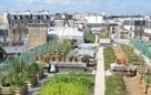 Rencontre projection autour de l'agriculture urbaine | Paysage - Agriculture | Scoop.it