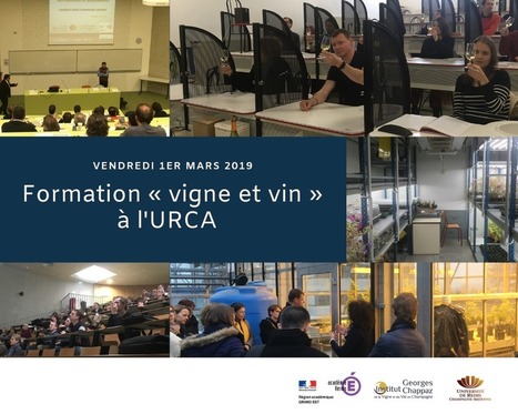 Formation vigne et vin à destination des enseignants du secondaire physique, chimie et SVT | Le fil d'actualités de l'URCA | Scoop.it