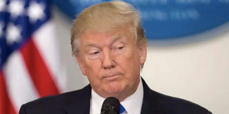 Trump's support has 'flat-lined' since Manhattan indictment: MSNBC analyst - RawStory.com | Backstabber Watch | Scoop.it