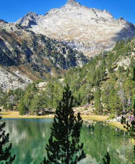 Film et conférence sur le pastoralisme à Saint-Lary-Soulan le 22 août | Vallées d'Aure & Louron - Pyrénées | Scoop.it