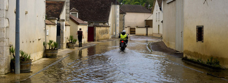 Catastrophes naturelles : les pistes du Cese pour mieux gérer les risques | Biodiversité | Scoop.it