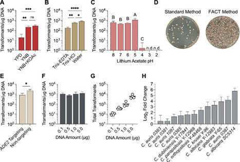 Cellular stress tolerance governs genetic transformability in recalcitrant Candida species | npj | RMH | Scoop.it