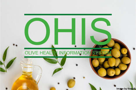 This week on the Olive Health Information System | OLIVE NEWS | Scoop.it