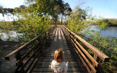 Tourisme : les Landes selon TripAdvisor  | Landes | Scoop.it