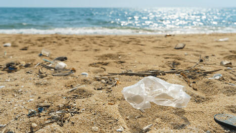 Plastic bag bans work, new study shows | The EcoPlum Daily | Scoop.it