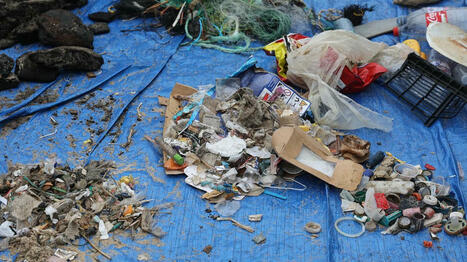 Biarritz : une grande collecte de déchets organisée à la Grande Plage | BABinfo Pays Basque | Scoop.it