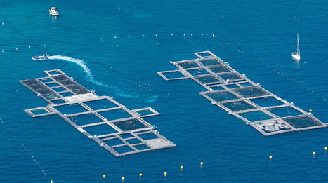Flotte vieillissante, co&ucirc;t de l'&eacute;nergie : Bruxelles d&eacute;voile son plan pour remettre la p&ecirc;che europ&eacute;enne &agrave; flot d'ici &agrave; 2040, la fili&egrave;re crie &agrave; l'occasion manqu&eacute;e | Revue de presse du Centre de doc | Scoop.it