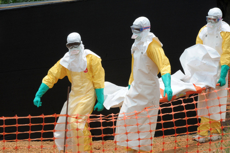 Ebola victim numbers swell as more flights halted to West Africa | Ebola Outbreak 2014 | Scoop.it