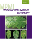 Biological Nitrogen Fixation in the context of Global Change | Plant-Microbe Symbiosis | Scoop.it