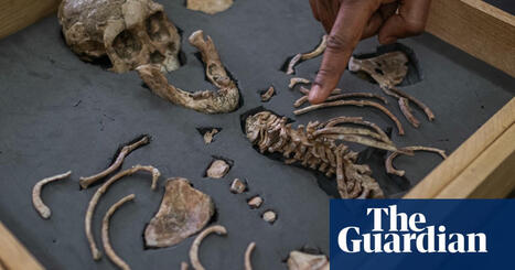 ‘It’s always been some white dude’: how Ethiopia became the world leader in uncovering the story of humankind | Global development | by Fred Harter | TheGuardian.com | Schools + Libraries + Museums + STEAM + Digital Media Literacy + Cyber Arts + Connected to Fiber Networks | Scoop.it