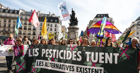 Pesticides : contre des printemps devenus silencieux, des milliers de personnes ont fait du bruit dans les rues de Paris | Vers la transition des territoires ! | Scoop.it