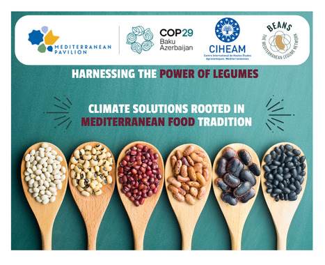 CIHEAM : COP29/Harnessing the Power of Legumes | CIHEAM Press Review | Scoop.it