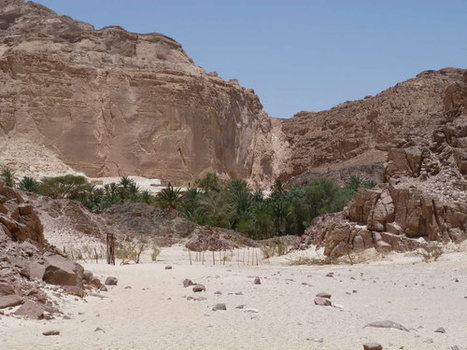 Plongée mystique au coeur du Sinaï | Nice-Matin | Les déserts dans le monde | Scoop.it