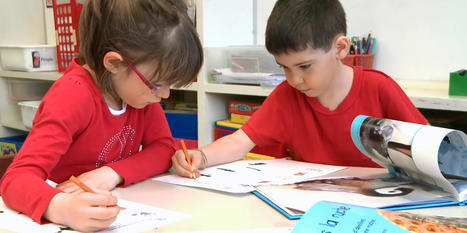 English and Second Language Learners - LEARN | Primary French Immersion Education | Scoop.it