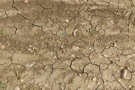 Les activités humaines renforcent le risque de sécheresse | Toxique, soyons vigilant ! | Scoop.it