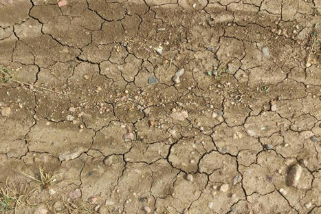 #Sécheresse : malgré les pluies, les nappes toujours trop basses | RSE et Développement Durable | Scoop.it