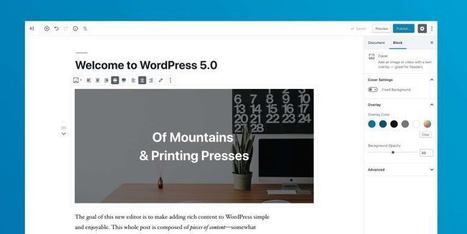 WordPress 5.0 "Bebo" la dernière version de WordPress est sortie ce jour | WordPress France | Scoop.it