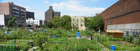 Quand des villes en crise mobilisent leur résilience | Biodiversité | Scoop.it