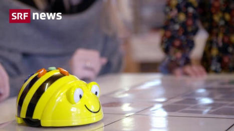 SRF News - Mit «Bee Bot» programmieren lernen | Informatik & Robotik in der Schule | Scoop.it