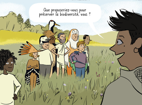 Les Grandiloquents - Biodiversité | Office for Climate Education | Insect Archive | Scoop.it