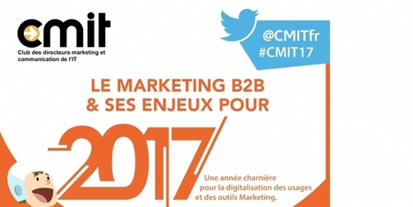 Les enjeux du marketing BtoB en 2017 - Social marketing | Transition Digitale de l'Entreprise | Scoop.it