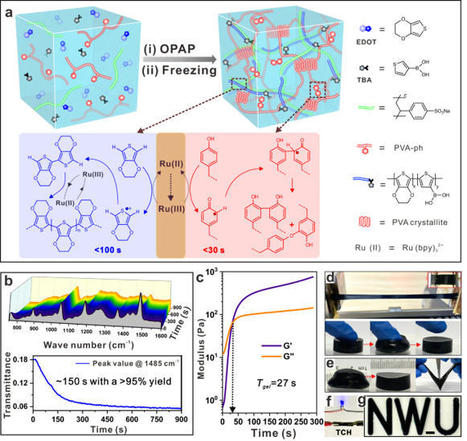 Orthogonal photochemistry-assisted printing of 3D tough and stretchable conductive hydrogels | Tailored Expertise Sourcing & Market Intelligence in Global Consulting | Scoop.it