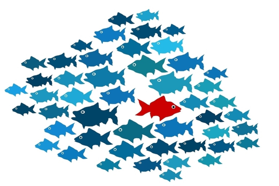 A Counterpoint: Less Content, Not More, in 2014 | Marketing de contenidos, artículos seleccionados por Eva Sanagustin | Scoop.it
