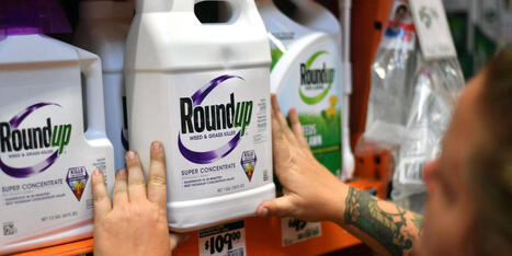 After Promising to 'Make America Healthy Again,' Trump Mandates Production of Cancer-Causing Glyphosate | by&nbsp;Julia Conley | Common Dreams.org | @The Convergence of ICT, the Environment, Climate Change, EV and HEV Transportation & Distributed Renewable Energy | Scoop.it