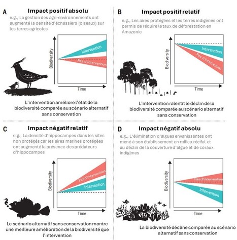 Impacts positifs des actions de conservation : des contributions efficaces à la gestion des EEE ? | Biodiversité | Scoop.it