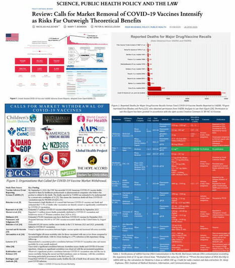 While the FDA refuses to halt the COVID-19 vaccination program, our… | McCullough Foundation | 17 comments | Hésitations Vaccinales: Observatoire HESIVAXs | Scoop.it