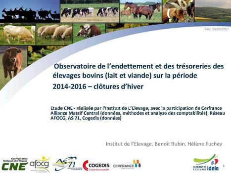 Situation financière difficile pour les exploitations bovines en 2016 | SCIENCES DE L' ANIMAL | Scoop.it