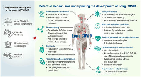 La difficile prise en charge du Covid long | sida | Scoop.it