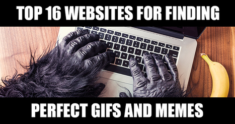 Top 16 Websites for Finding Perfect GIFs and Memes | SEJ | Wordpress-Webdesign | Scoop.it