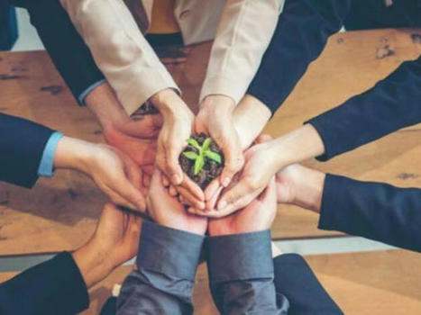 Sostenibilidad, así le apuestan los emprendimientos colombianos al impacto ambiental. | Revista Portafolio | Portafolio | Comercio Exterior | Scoop.it