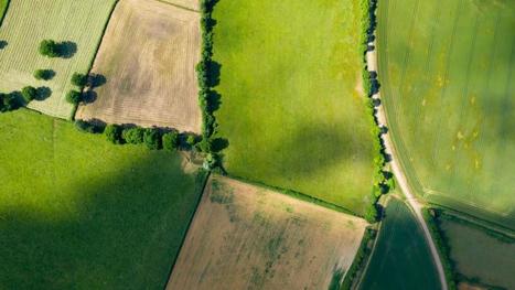 Présentation du « Pacte en faveur de la haie » doté d'un budget de 110 M€ dès 2024 | Biodiversité | Scoop.it