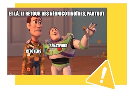 Loi Duplomb : jusqu'au 19 février, il est encore temps d'agir ! | Variétés entomologiques | Scoop.it