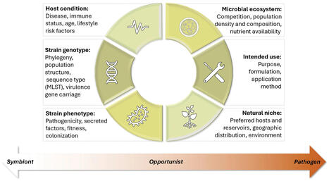 A paradigm for the contextual safety assessment of agricultural microbes: a closer look at Klebsiella variicola | Plant-Microbe Symbiosis | Scoop.it