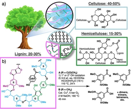 From Lignin to Valuable Aromatic Chemicals: Lignin Depolymerization and Monomer Separation via Centrifugal Partition Chromatography | ACSa | RMH | Scoop.it