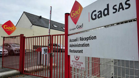 Les anciens salariés de l'abattoir Gad contestent à nouveau leur licenciement en justice | La Gazette des abattoirs | Scoop.it