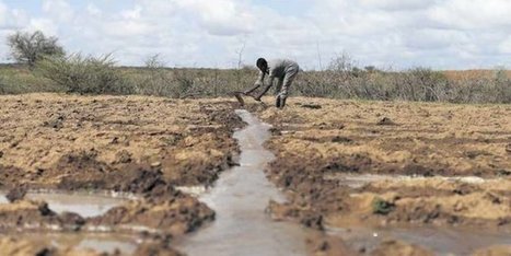 Tchad : la Banque mondiale débloque 41 millions de dollars pour renforcer l'agriculture | Questions de développement ... | Scoop.it