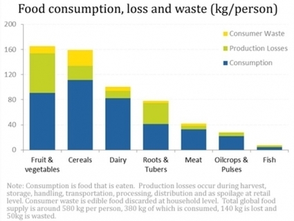GASPILLAGE ALIMENTAIRE : Une nécessaire évaluation crédible - Food | Green Tech | Scoop.it