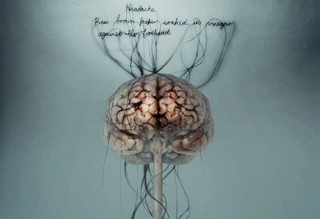 #temadeldía #CEREBRO #educacion // ENGAÑA A TU CEREBRO, PONLO A TRABAJAR - INED21 | Educación, TIC y ecología | Scoop.it