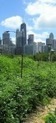 Plaidoyer pour l&rsquo;agriculture urbaine | RSE et D&eacute;veloppement Durable | Scoop.it