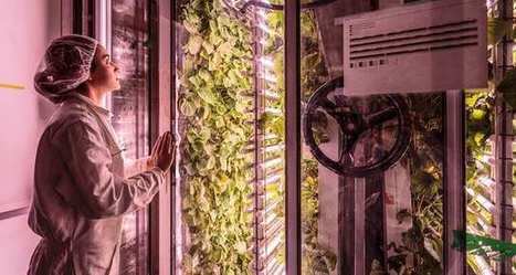 Agricool, La Ruche qui dit Oui, Prestagri : ces start-up prêtes à révolutionner l'agriculture | ESPACES VEGETALISES URBAINS | Scoop.it