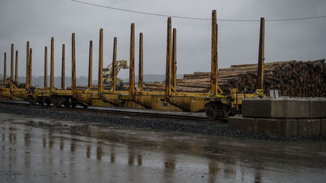 New rail spur links Willamette Valley timber to world | Timberland Investment | Scoop.it