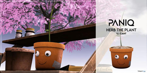 Herb The Plant January 2023 Group Gift by PANIQ | Teleport Hub - Second Life Freebies | Second Life Freebies | Scoop.it